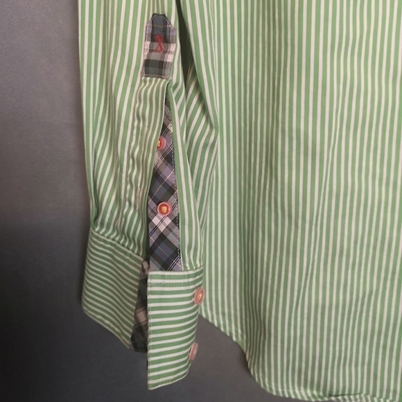 Vintage Robert Graham 90s Green Striped Oversized Long Sleeve Button Down Shirt - Picture 7 of 9